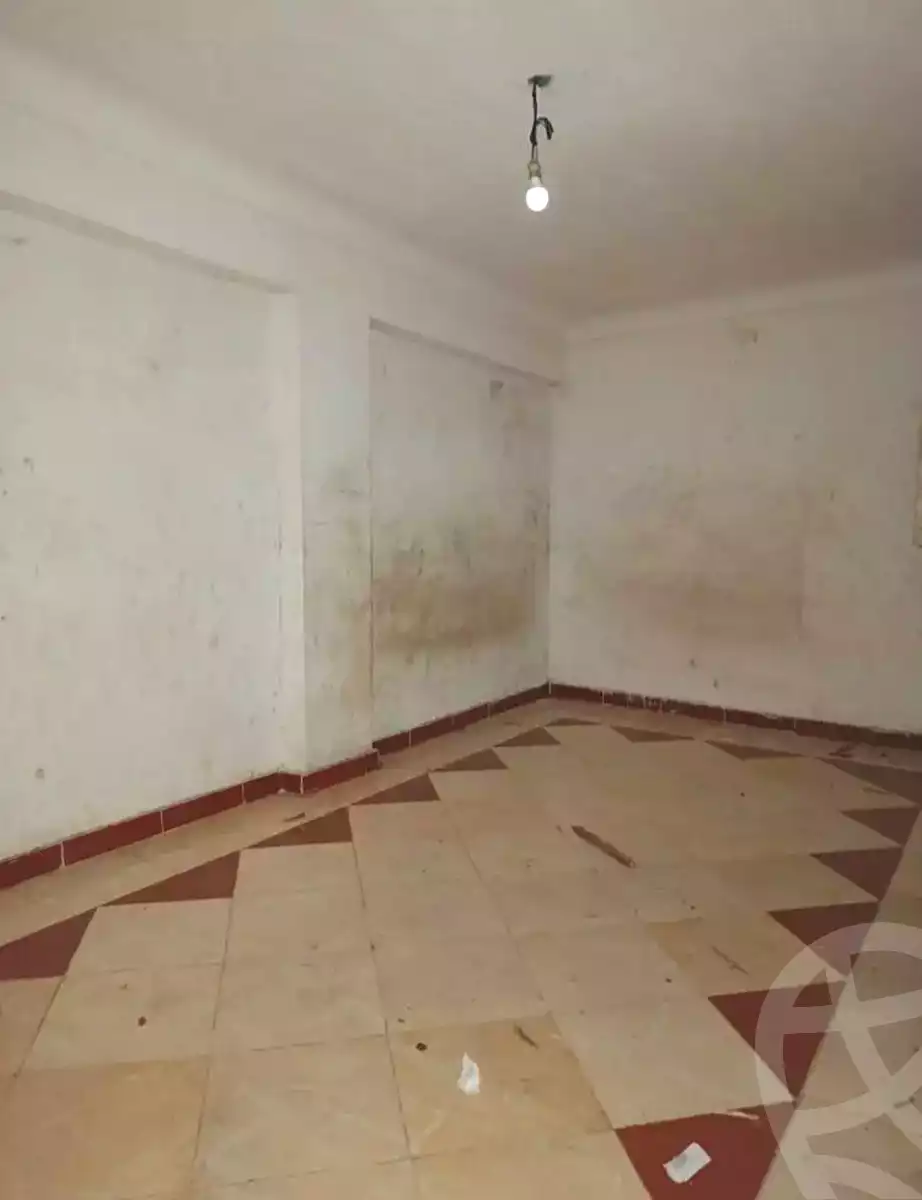 https://aqarmap.com.eg/en/listing/7101547-for-rent-alexandria-lsywf-el-falki