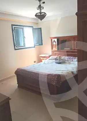 https://aqarmap.com.eg/ar/listing/7102062-for-rent-alexandria-smouha-taawenyat-smouha