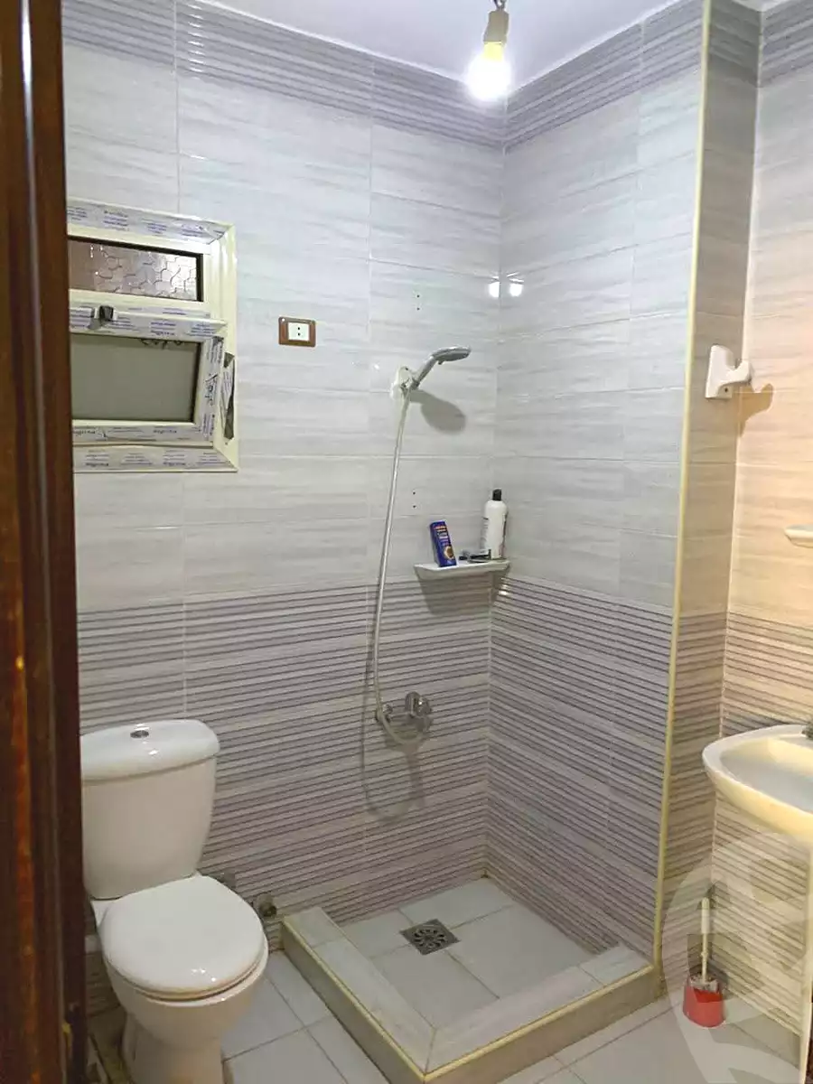 https://aqarmap.com.eg/en/listing/7102833-for-rent-cairo-faisal