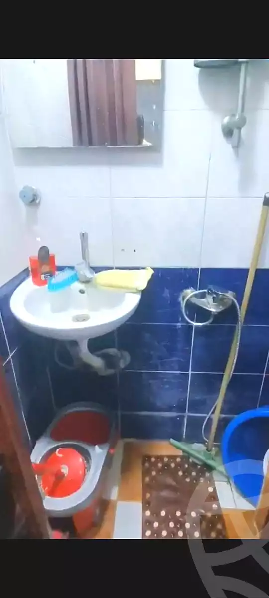 https://aqarmap.com.eg/ar/listing/7102990-for-sale-alexandria-lsywf-shamaa