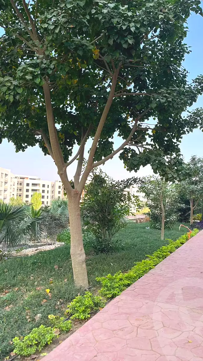 https://aqarmap.com.eg/ar/listing/7104487-for-sale-cairo-new-cairo-lmstqbl-syty-compounds-zyzyny-lmstqbl-rdk-llttwyr