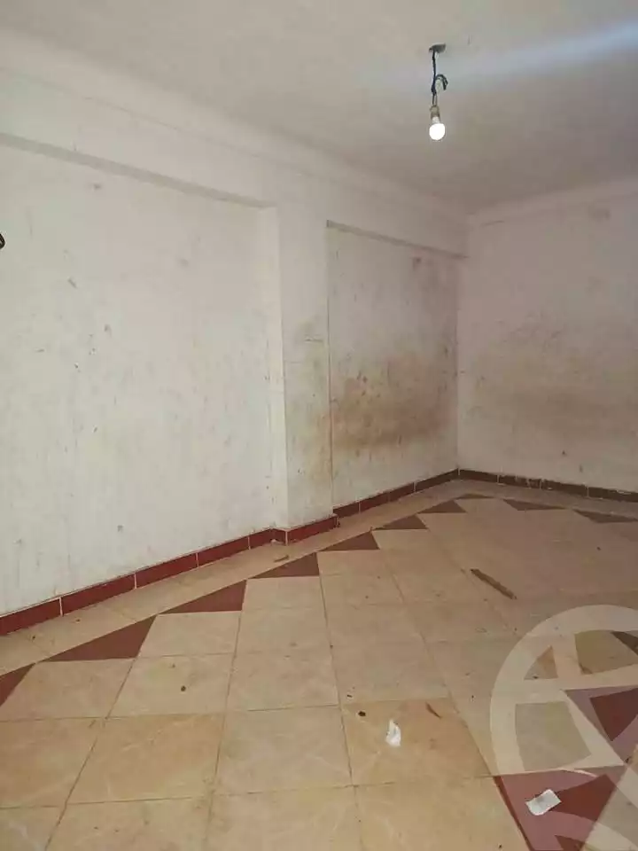 https://aqarmap.com.eg/en/listing/7106277-for-rent-alexandria-lsywf-el-falki-street-16-el-eslah