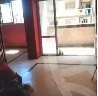 https://aqarmap.com.eg/ar/listing/7111046-for-sale-alexandria-sydy-bshr-sydy-bshr-qbly-cairo-st