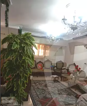 https://aqarmap.com.eg/en/listing/7114409-for-sale-alexandria-sydy-bshr-sydy-bshr-bhry-el-amgad-st