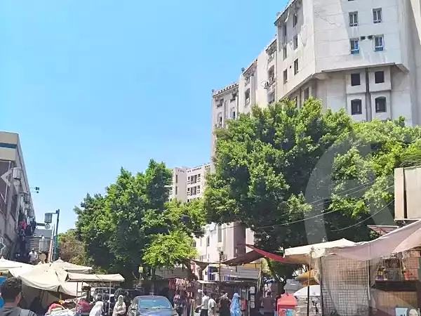https://aqarmap.com.eg/en/listing/7115208-for-rent-cairo-el-sayyeda-zeinab
