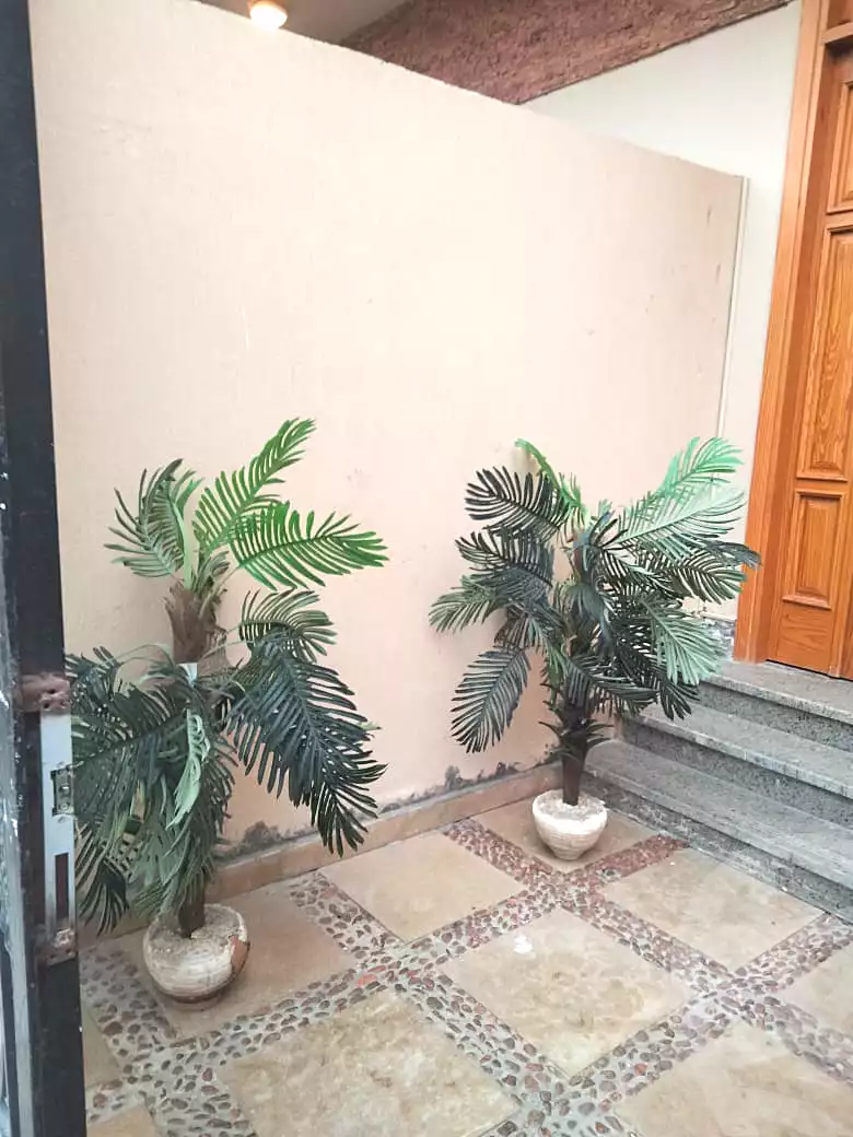 https://aqarmap.com.eg/en/listing/7115671-for-sale-cairo-new-cairo-ganob-el-akadamiya-south-academy-h-amr-ibn-el-ass-st