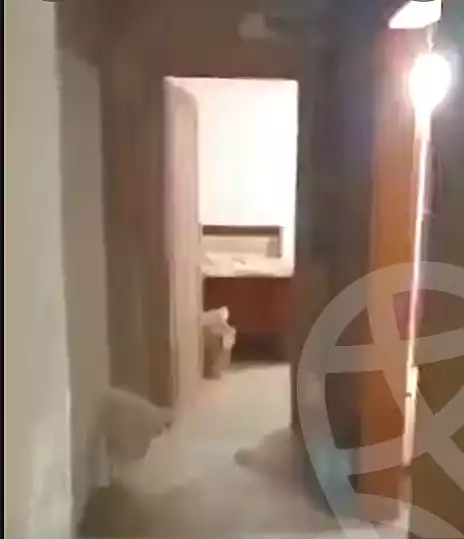 https://aqarmap.com.eg/en/listing/7115771-for-sale-cairo-faisal-el-talbeya