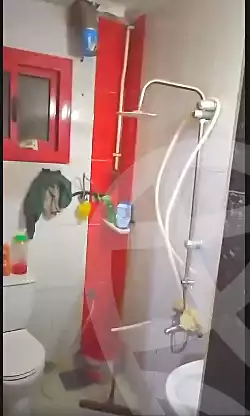 https://aqarmap.com.eg/ar/listing/7121952-for-sale-cairo-ain-shams
