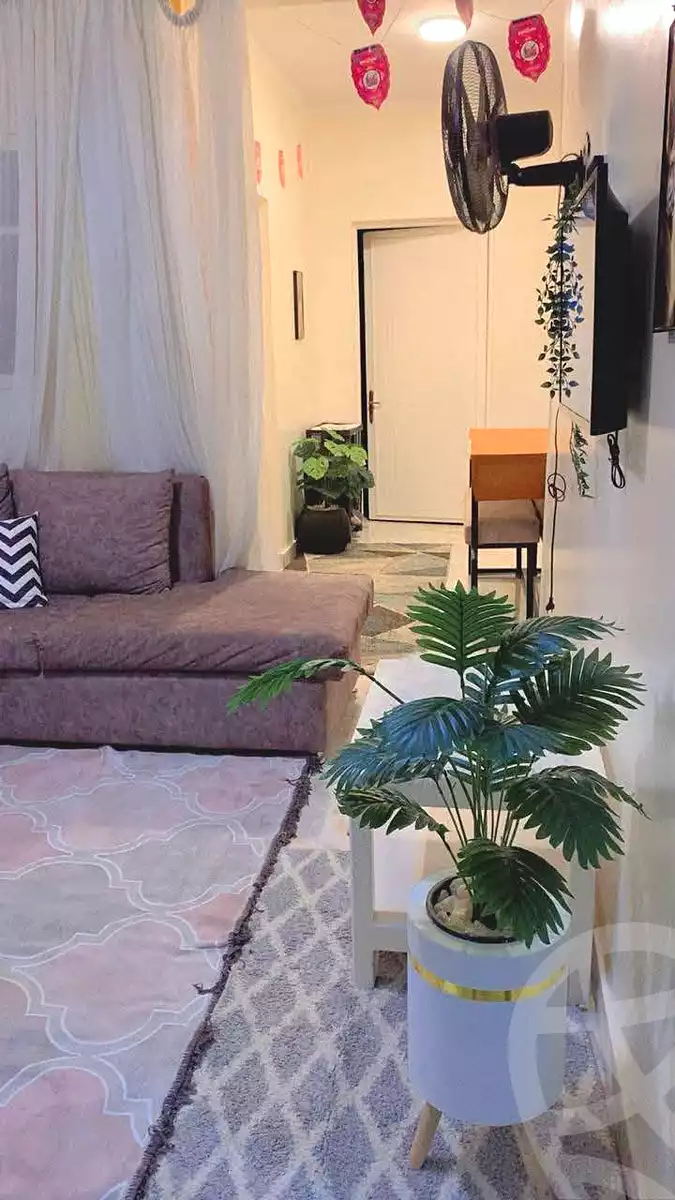 https://aqarmap.com.eg/en/listing/7124160-for-sale-cairo-helwan-helwan-el-sharkeya-ryad-pasha-st