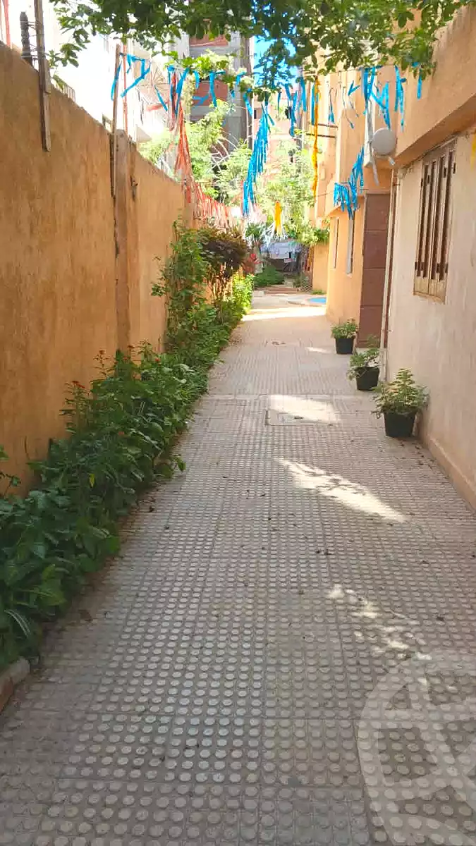 https://aqarmap.com.eg/ar/listing/7126320-for-sale-alexandria-al-agamy-lbytsh-shahr-al-assal-st