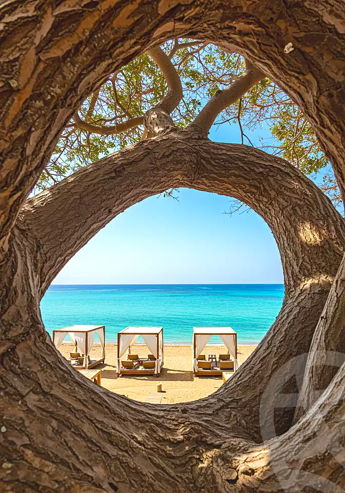 https://aqarmap.com.eg/ar/listing/7127065-for-sale-marsa-matruh-marsa-matrouh-resorts-marsa-baghush-resort-shehab-mazhar