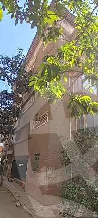 https://aqarmap.com.eg/en/listing/7127406-for-sale-cairo-nasr-city