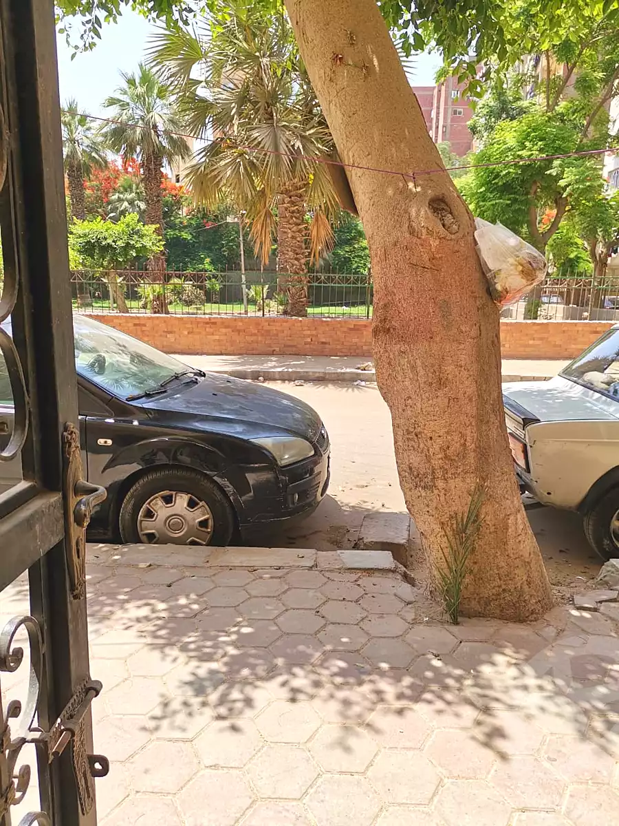 https://aqarmap.com.eg/ar/listing/7127768-for-sale-cairo-ain-shams-mnshy-lthryr