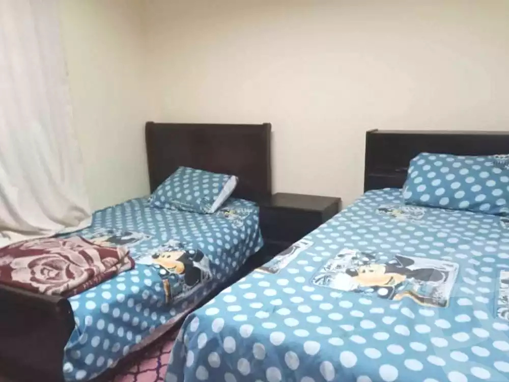 https://aqarmap.com.eg/en/listing/6894856-for-rent-cairo-faisal