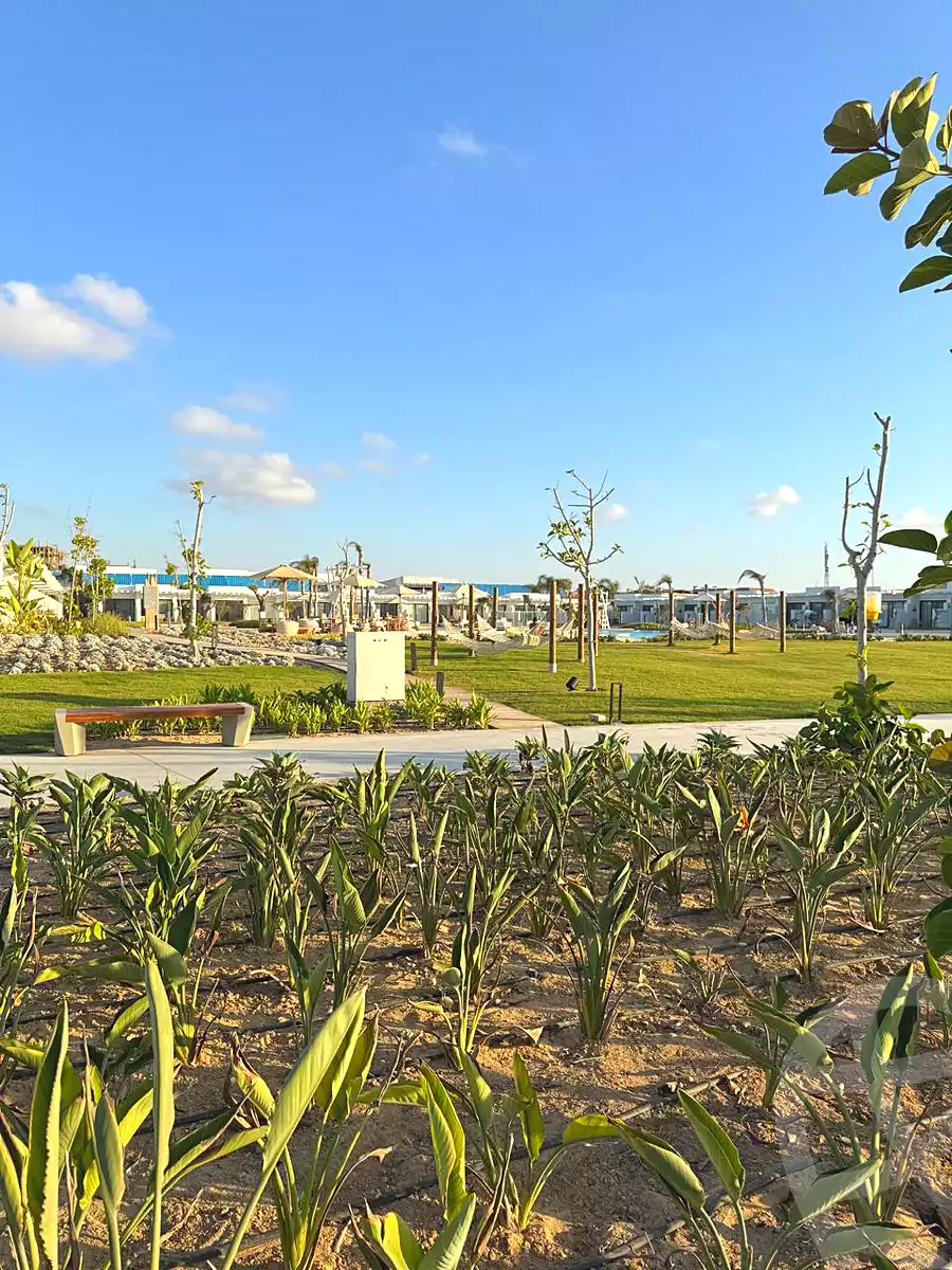 https://aqarmap.com.eg/ar/listing/7128739-for-sale-north-coast-resorts-north-coast-resorts-d-bay-resort-tatweer-misr-development