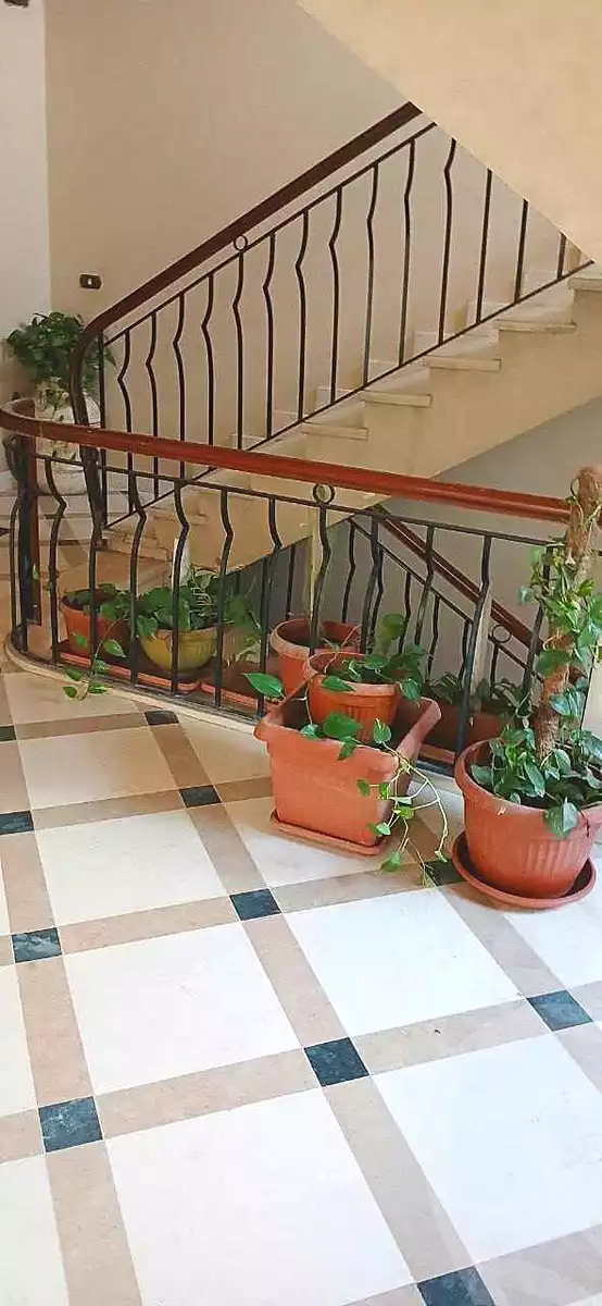 https://aqarmap.com.eg/ar/listing/7130164-for-sale-cairo-new-cairo-first-settlement-neighbourhood-4-hossam-gawesh-st
