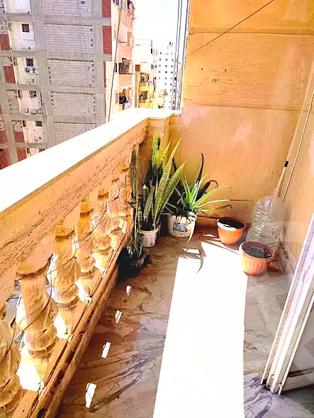 https://aqarmap.com.eg/ar/listing/7130858-for-rent-alexandria-el-asafra-l-sfr-bhry