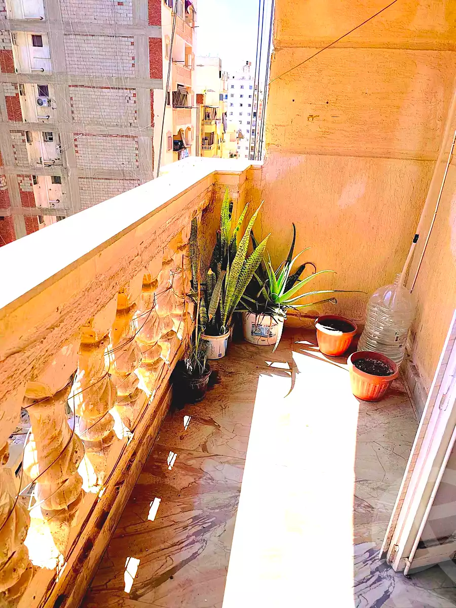 https://aqarmap.com.eg/ar/listing/7131449-for-rent-alexandria-el-asafra