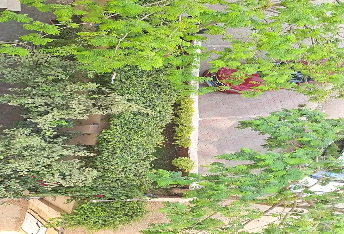 https://aqarmap.com.eg/en/listing/7134188-for-sale-cairo-new-cairo-first-settlement-mhwr-mstfy-kml