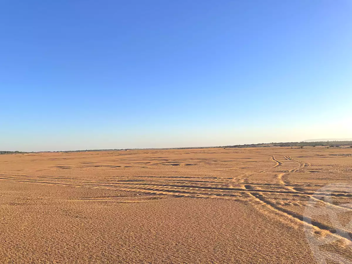 https://aqarmap.com.eg/ar/listing/7140204-for-sale-new-valley-kharga-oasis-markz-baris