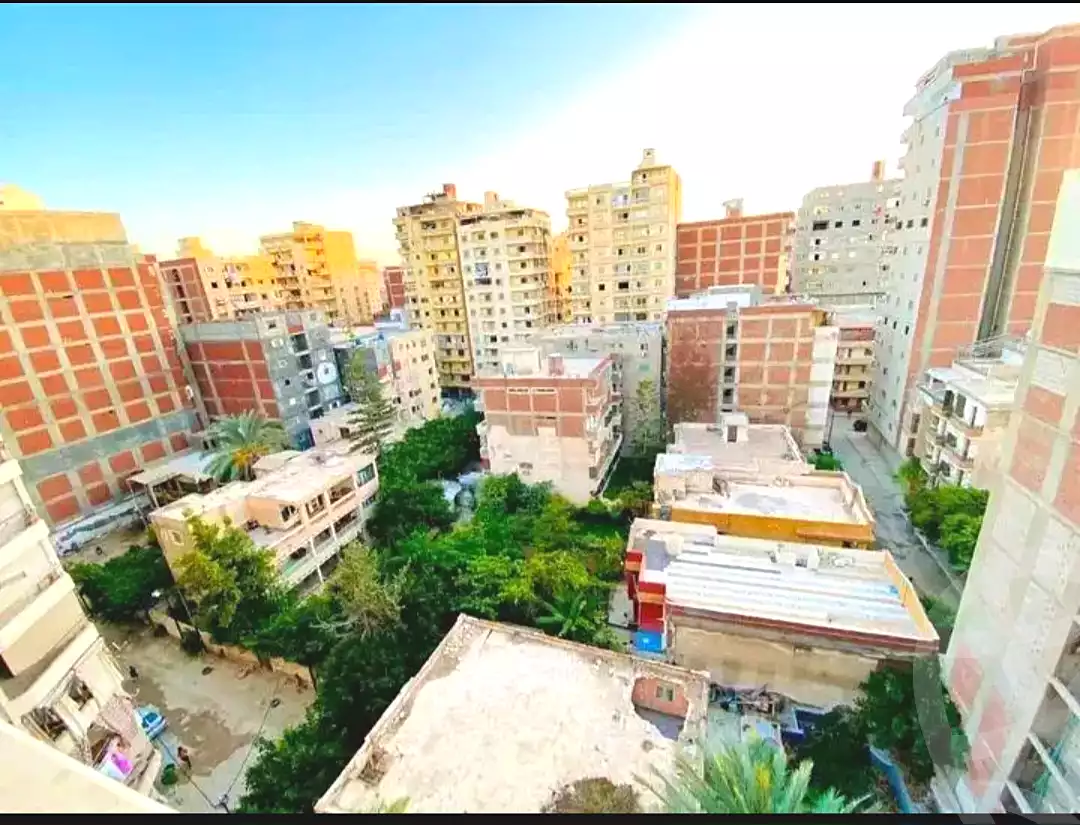 https://aqarmap.com.eg/ar/listing/7140472-for-sale-alexandria-al-agamy-lbytsh-shahr-al-assal-st