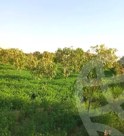 https://aqarmap.com.eg/ar/listing/7142448-for-sale-suez-faisal
