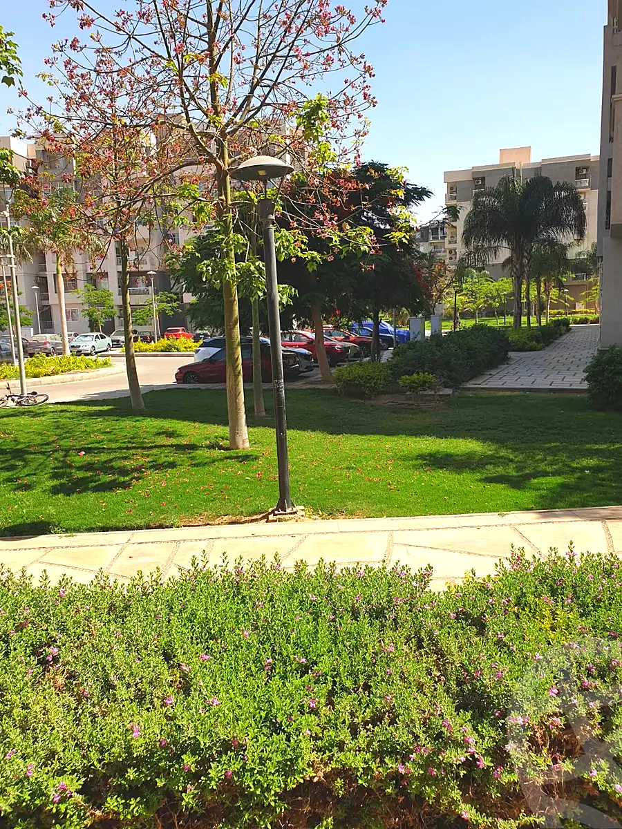 https://aqarmap.com.eg/ar/listing/7143136-for-rent-cairo-new-cairo-madinaty-tenth-zone-buildings-madinaty-b-10