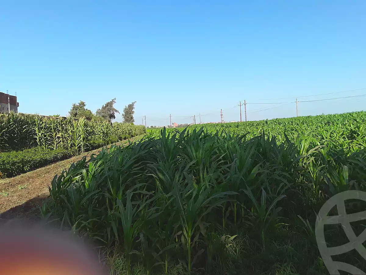 https://aqarmap.com.eg/en/listing/7143127-for-sale-dakahlia-aga-shewa-el-sharkeya