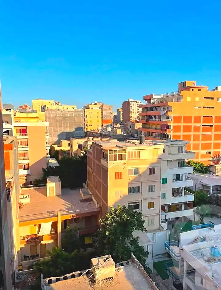 https://aqarmap.com.eg/ar/listing/7143611-for-sale-alexandria-al-agamy-lbytsh-shahr-al-assal-st