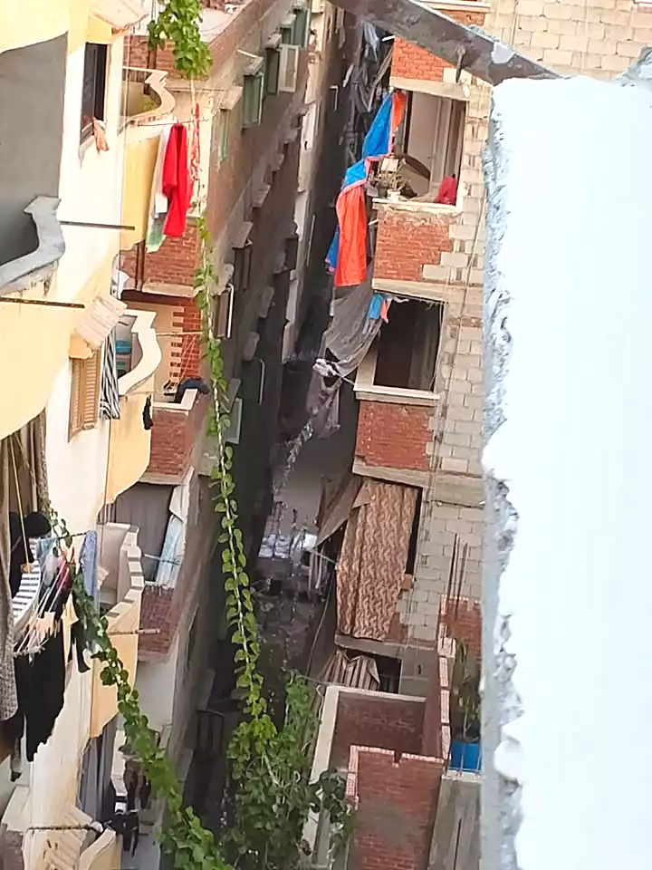 https://aqarmap.com.eg/ar/listing/7146893-for-sale-alexandria-bw-qyr-street-16
