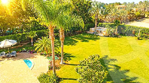https://aqarmap.com.eg/ar/listing/7146946-for-sale-cairo-el-sheikh-zayed-city-lshykh-zyd-ljdyd-wdy-lnkhyl
