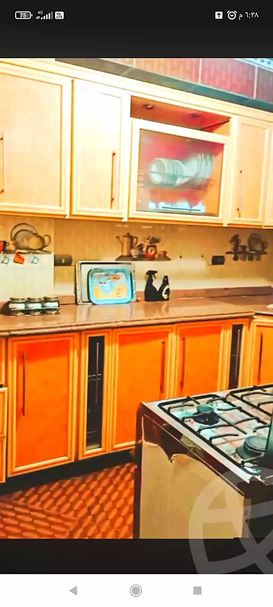 https://aqarmap.com.eg/en/listing/7147828-for-rent-cairo-faisal-el-maryotyah