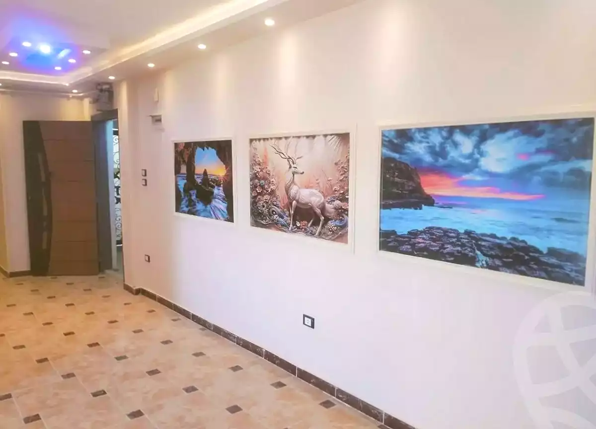 https://aqarmap.com.eg/ar/listing/7148048-for-sale-alexandria-lsywf-el-falki-street-16-el-eslah