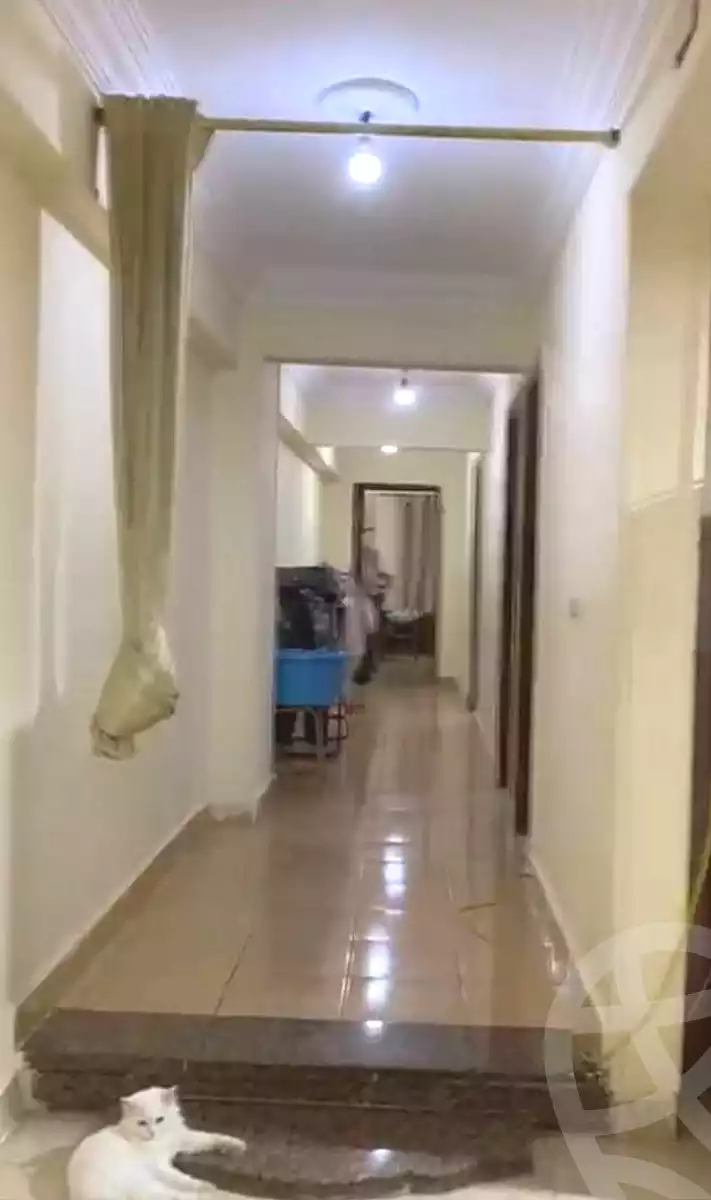 https://aqarmap.com.eg/en/listing/7151272-for-sale-cairo-faisal-el-maryotyah