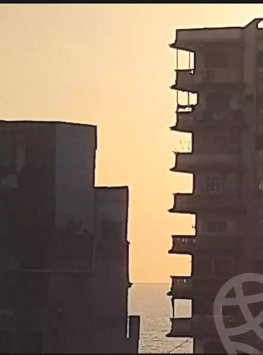 https://aqarmap.com.eg/en/listing/7151479-for-sale-alexandria-sydy-bshr-sydy-bshr-bhry-shr-mhmd-njyb