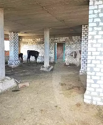 https://aqarmap.com.eg/ar/listing/7153063-for-sale-el-fayoum-tamiya-tamiyyah-city