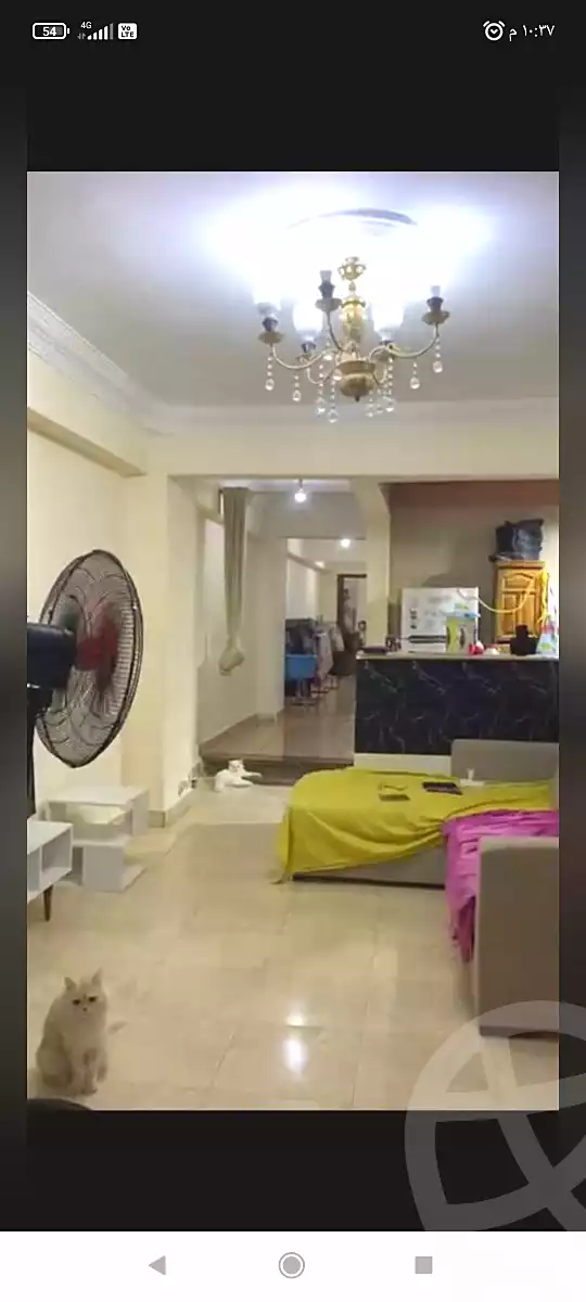 https://aqarmap.com.eg/en/listing/7153552-for-sale-cairo-faisal-el-maryotyah