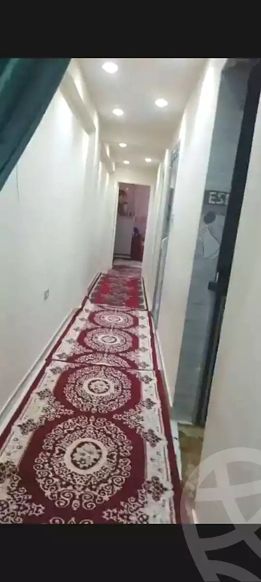 https://aqarmap.com.eg/en/listing/7156295-for-sale-alexandria-al-agamy-lbytsh-saad-zaghloul-st