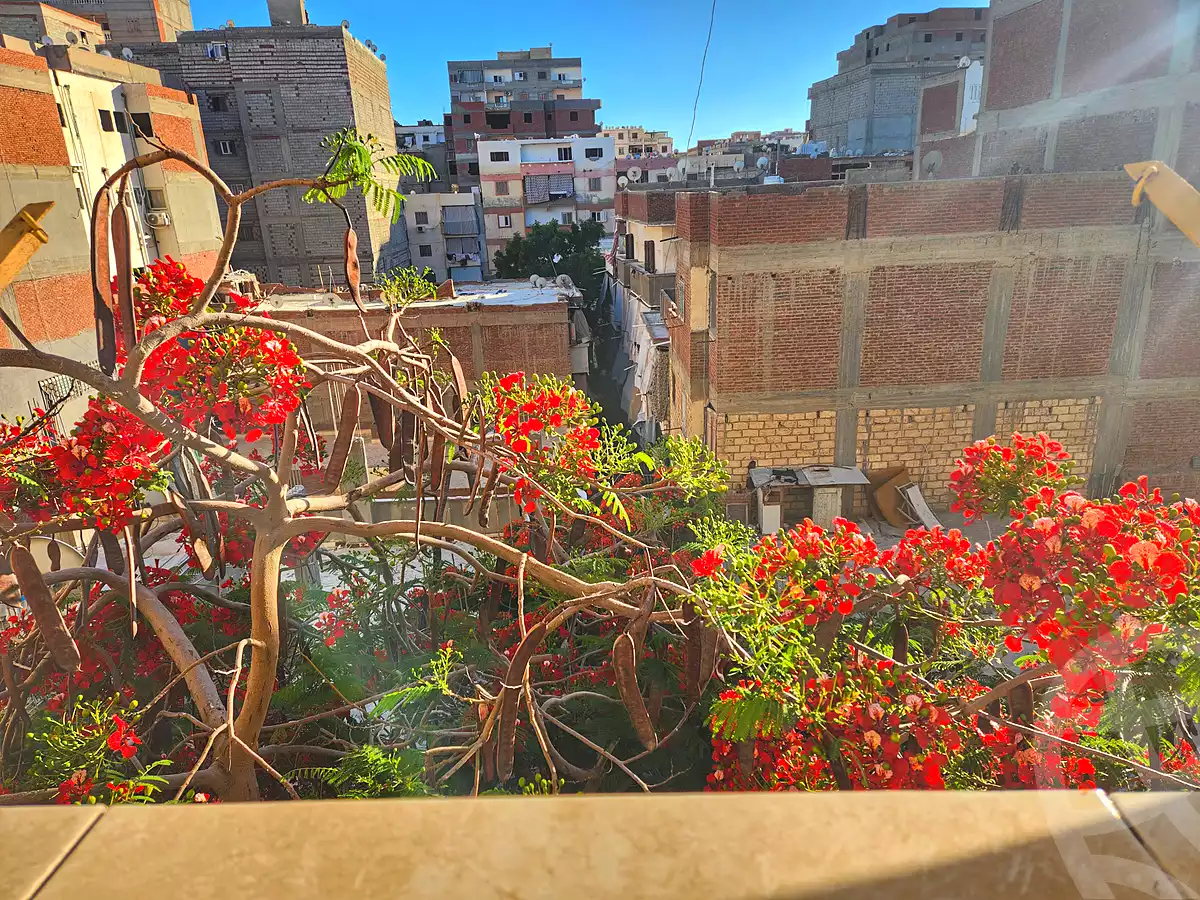 https://aqarmap.com.eg/en/listing/7156729-for-sale-alexandria-al-agamy-bw-ywsf-hosni-mubarak-st