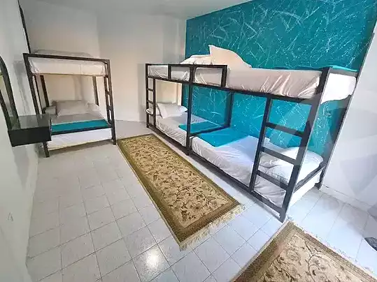 https://aqarmap.com.eg/ar/listing/7156803-for-rent-ismailia-fayed