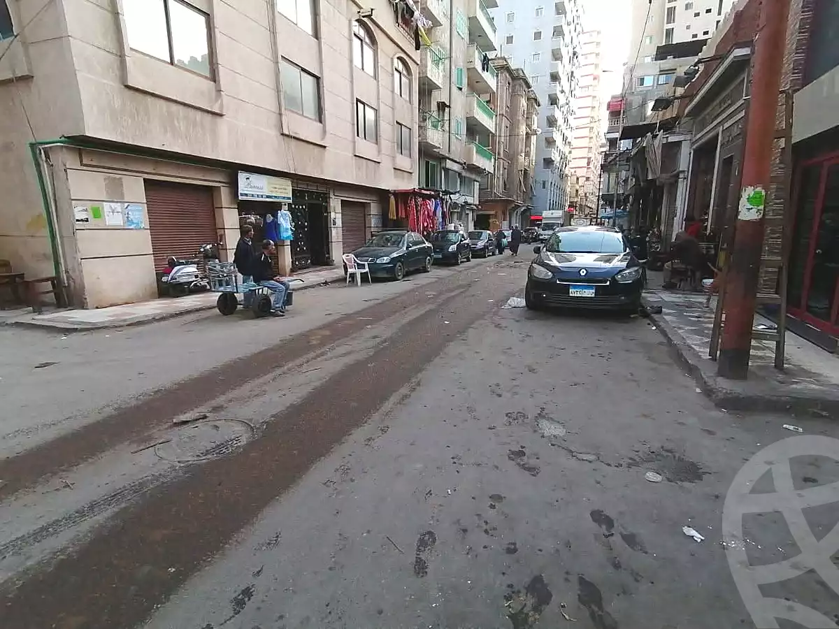 https://aqarmap.com.eg/en/listing/7160057-for-sale-alexandria-mansheya
