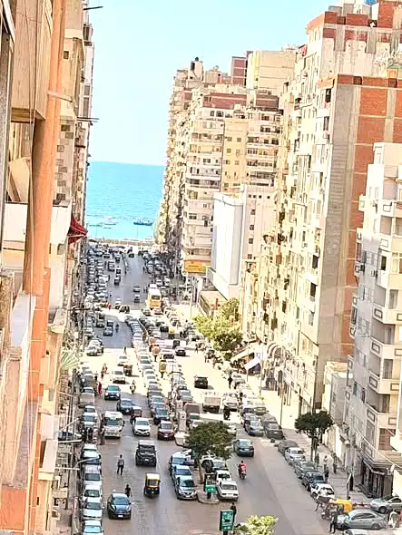 https://aqarmap.com.eg/en/listing/7160645-for-sale-alexandria-miami-iskandar-ibrahim-st