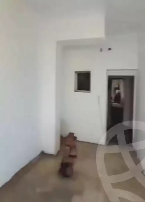 https://aqarmap.com.eg/en/listing/7162105-for-sale-cairo-ain-shams-mnshy-lthryr
