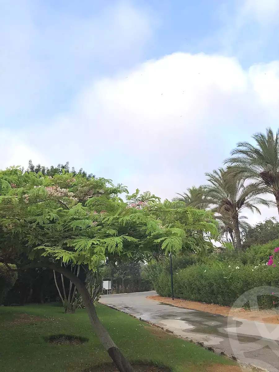 https://aqarmap.com.eg/ar/listing/7162731-for-sale-cairo-el-sheikh-zayed-city-lshykh-zyd-ljdyd-ofok-1