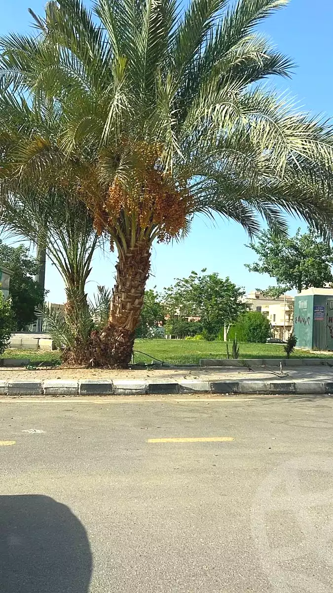 https://aqarmap.com.eg/en/listing/7167572-for-sale-cairo-new-cairo-el-yassamin-el-yasmeen-1-samir-shehata-street
