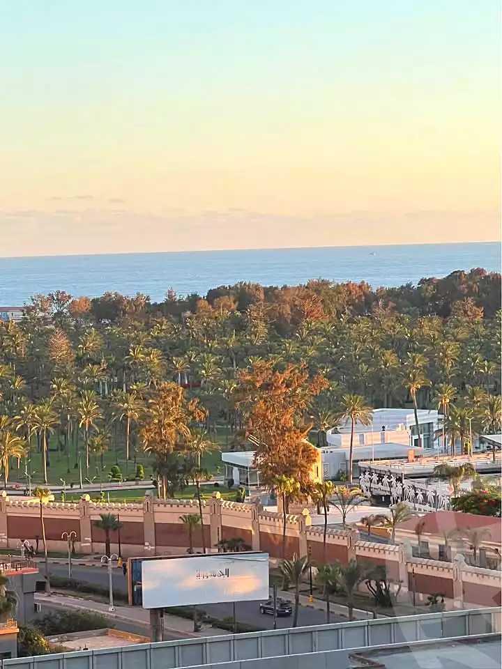 https://aqarmap.com.eg/ar/listing/7170259-for-sale-alexandria-el-mandara-nabawy-al-mohandes-st