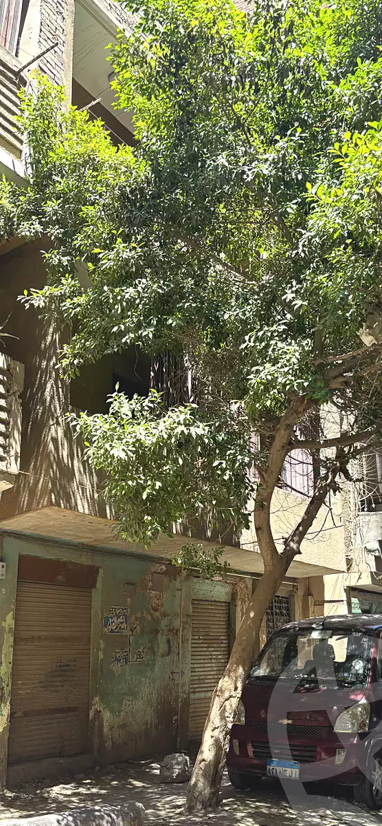 https://aqarmap.com.eg/ar/listing/7171020-for-sale-qalyubia-el-khsos-izbat-el-nakhl-rshad-koshk-st