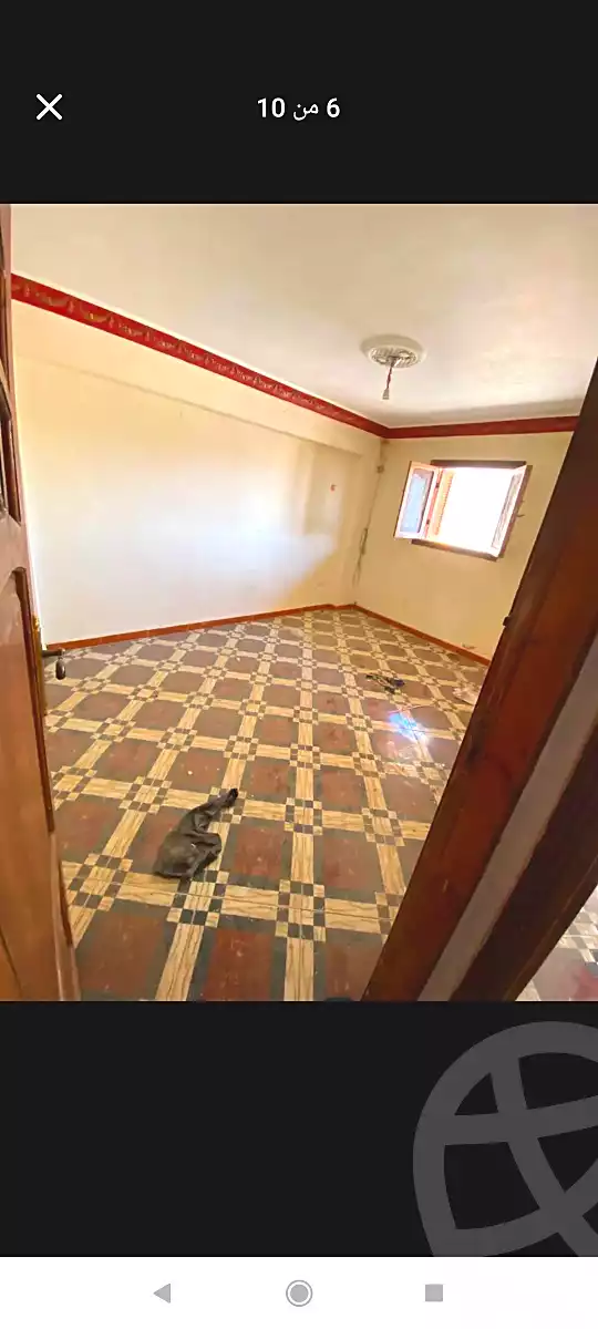 https://aqarmap.com.eg/en/listing/7174669-for-sale-alexandria-new-miami-eskot