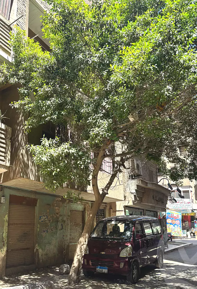 https://aqarmap.com.eg/ar/listing/7174621-for-sale-qalyubia-el-khsos-izbat-el-nakhl-el-farid-st