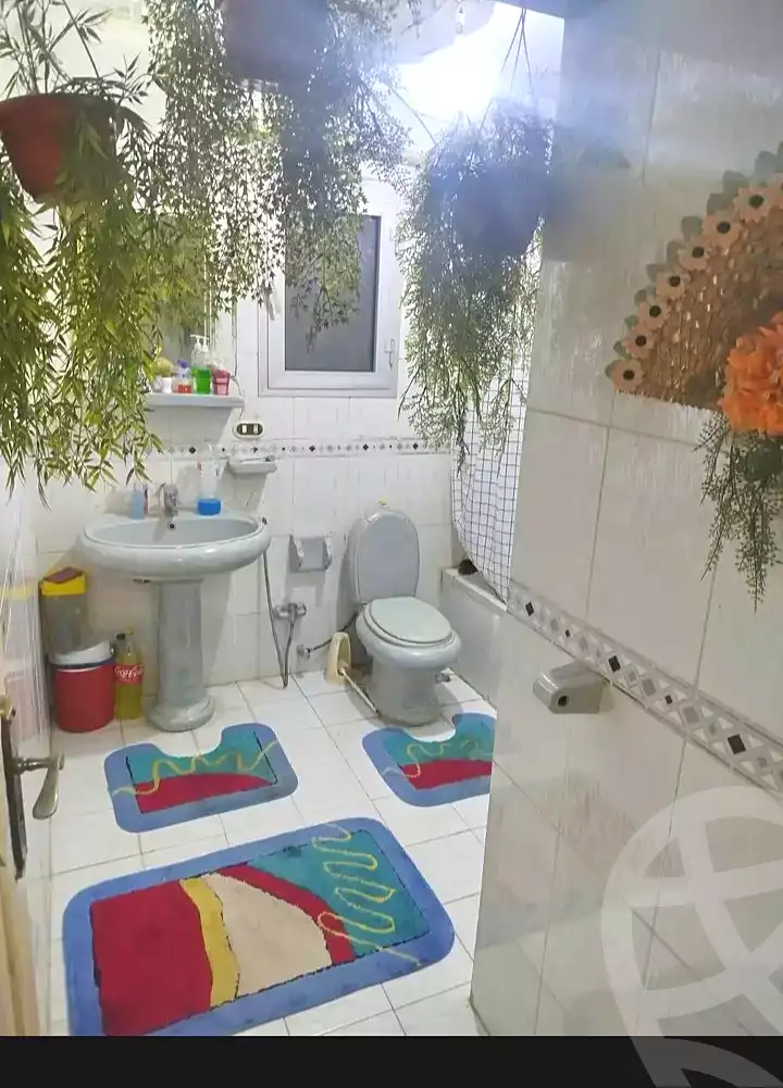 https://aqarmap.com.eg/ar/listing/7179135-for-sale-alexandria-el-mandara-alex-el-mandara-bahri